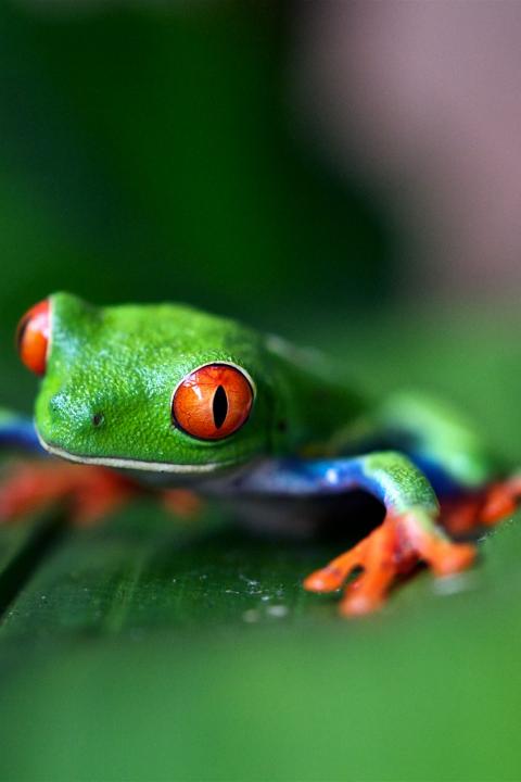 Biodiversity