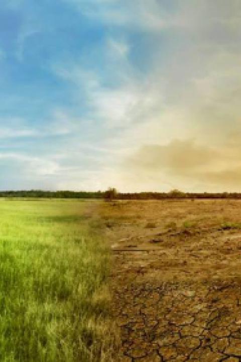 BLOG-1024x600-Global-warming-blog-leolintang-iStock-gettyImages.jpeg