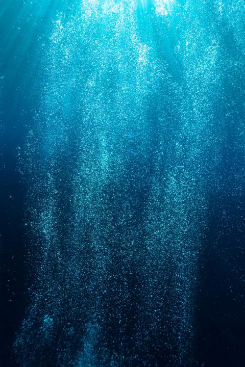 Deep Sea Mining