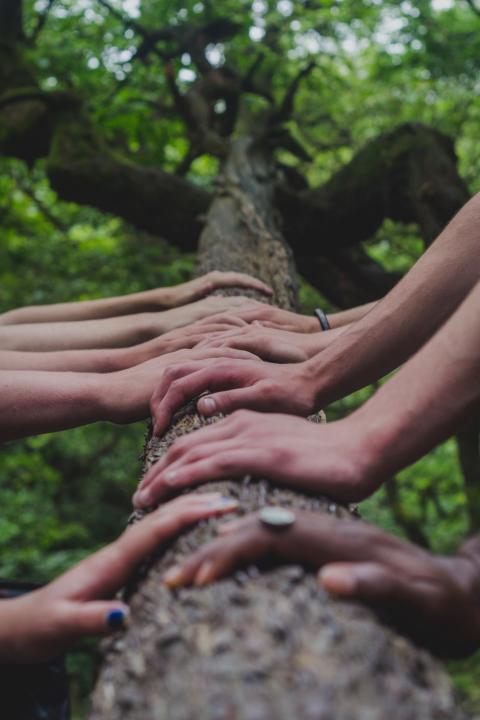 Diversity Inclusion and Belonging