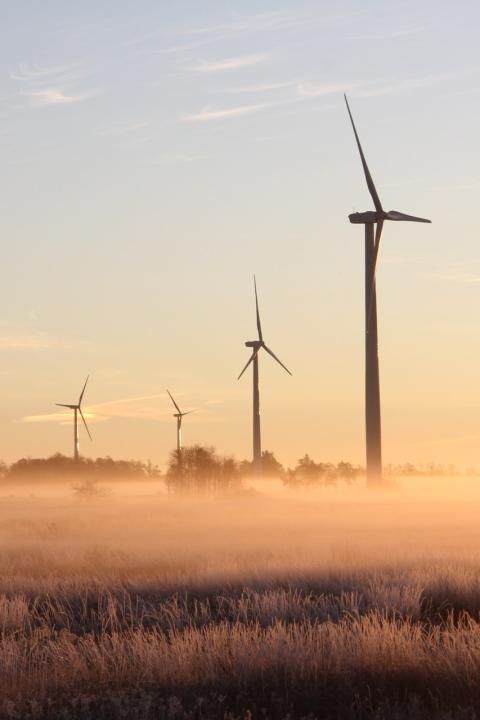 Sustainability
