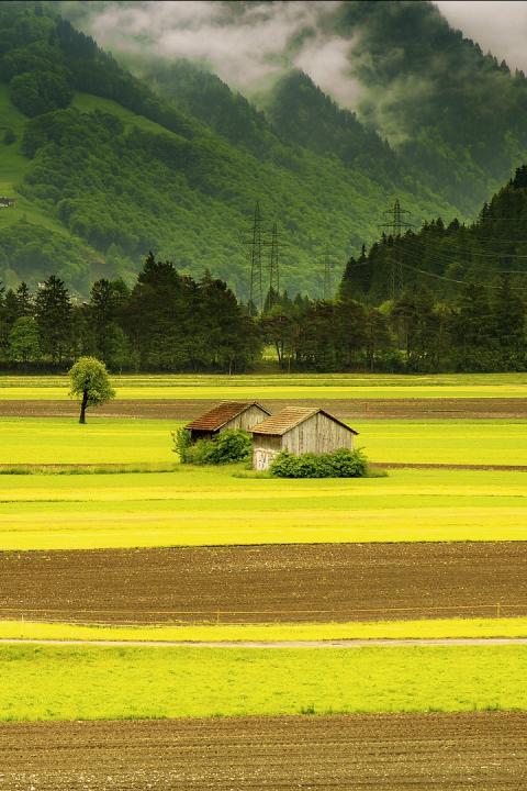 food insecurity