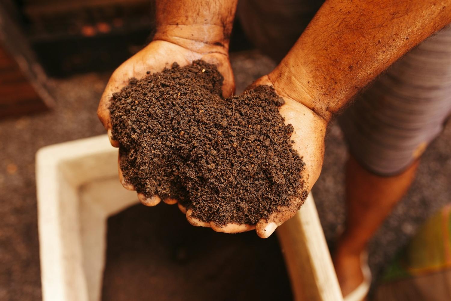hands in soil — sustainable agriculture