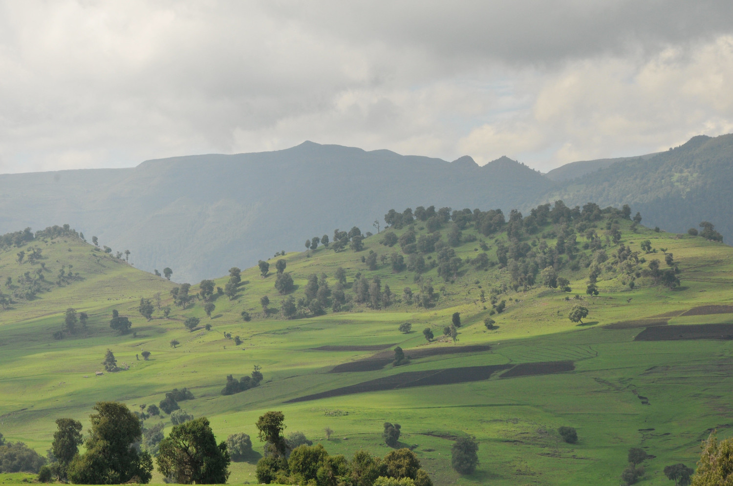 Landscape Mosaic in the Bale Mountains Ethiopia - mastercard priceless planet restoration projects.jpg