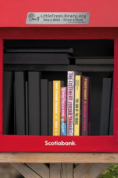 Little Free Library