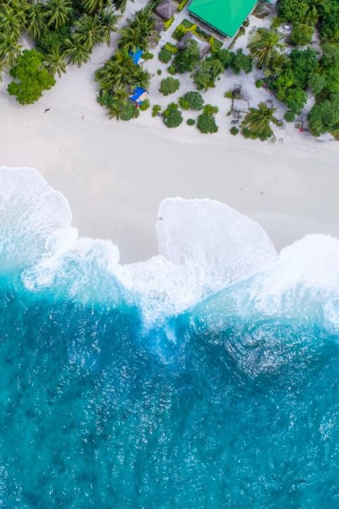 Ocean Conservation