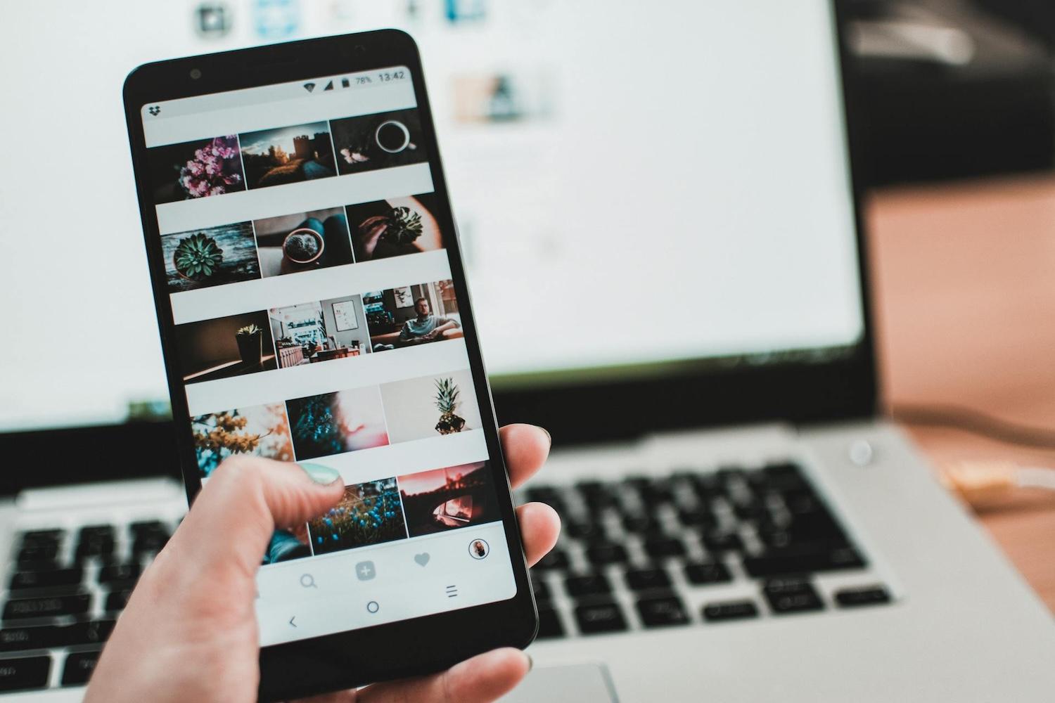 person viewing plant photos on instagram - sustainable home tips from social media