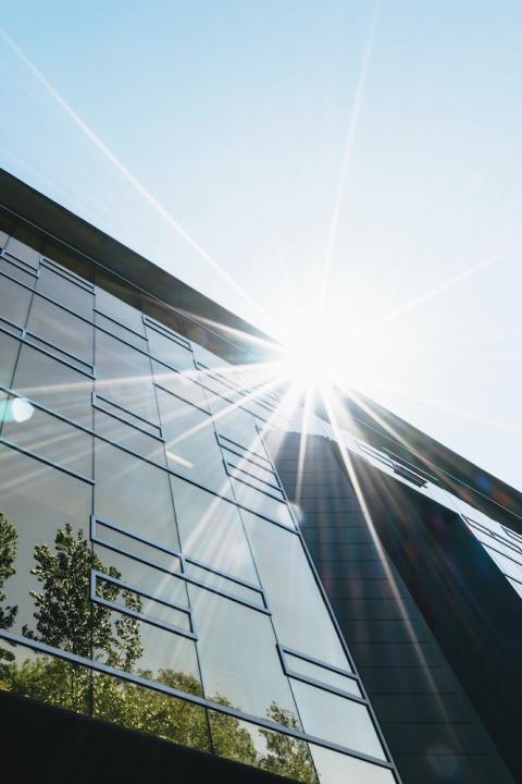 An office building with trees growing next to it. 