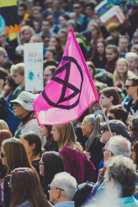 Protest Movements