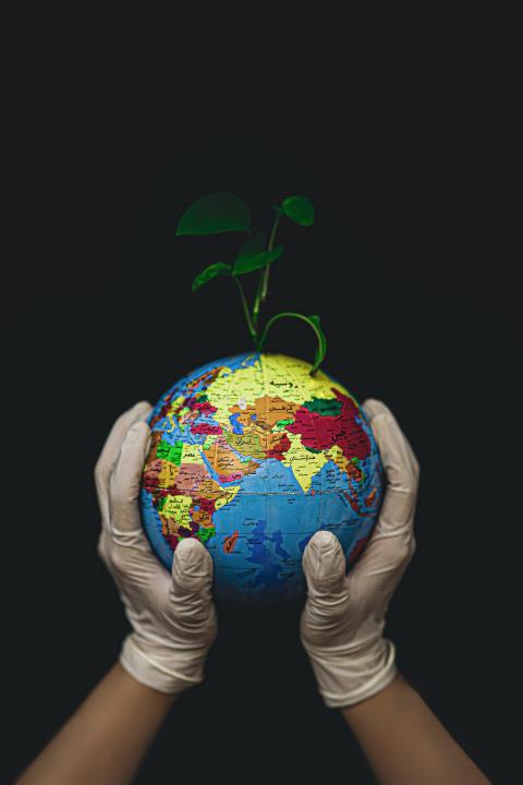 SDGs