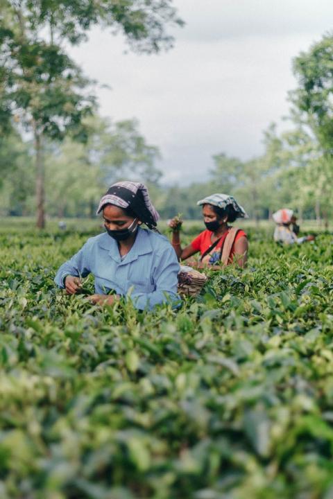 women smallholder farmers