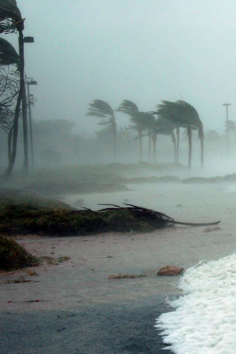 Natural Disasters