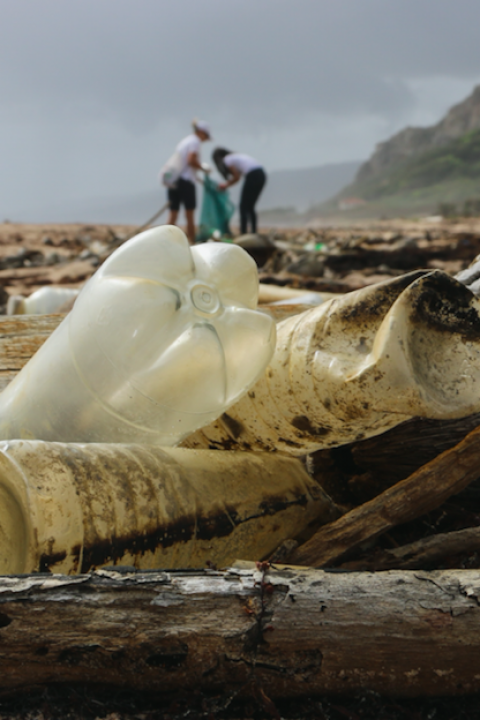 Ocean Plastic