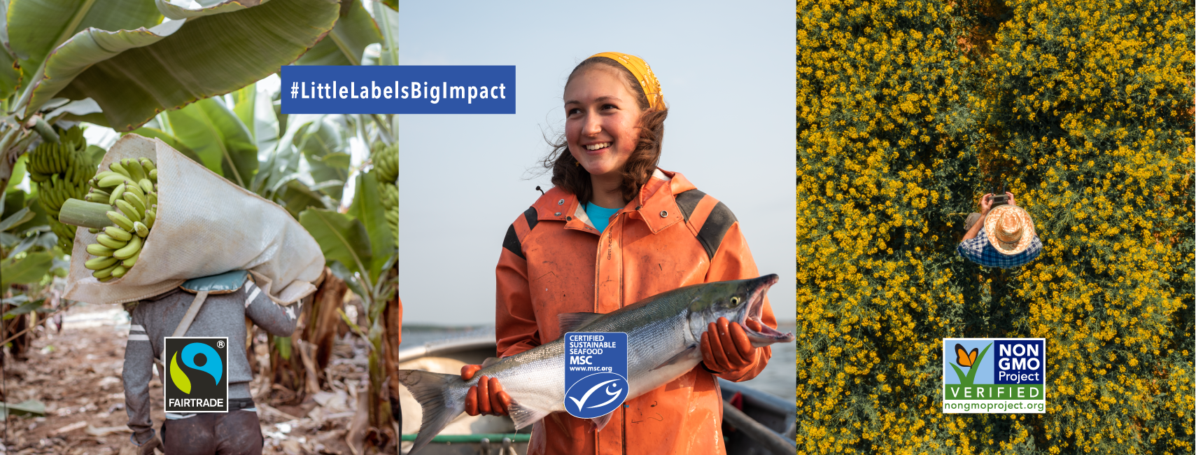 promo material for Little Labels Big Impact Campaign to drive awareness of verified green labels