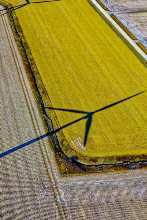 Renewable Energy